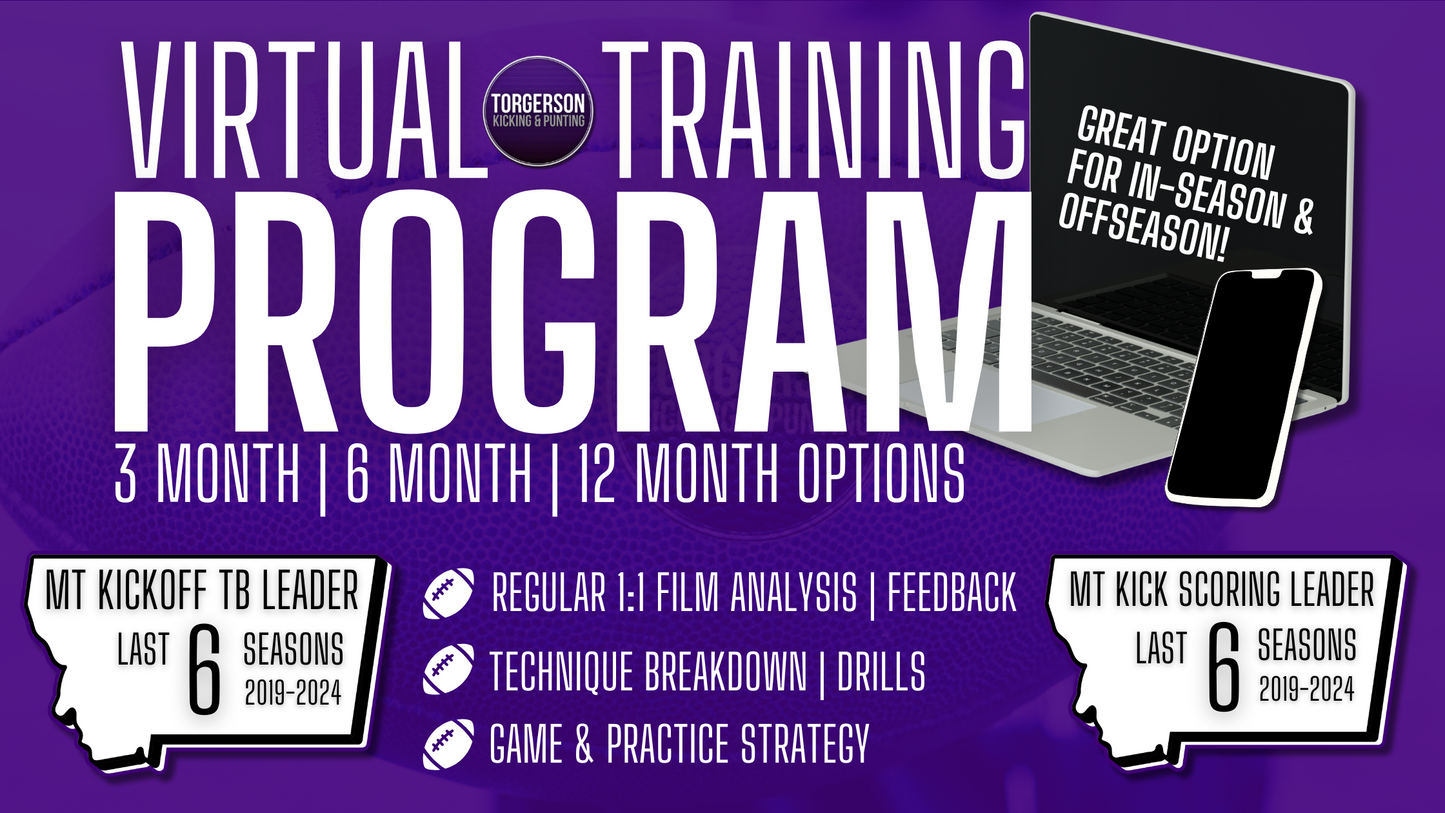 VIRTUAL TRAINING PROGRAM